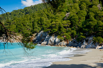 beach with trees, Kastani beach ,Skopelos island,Greece