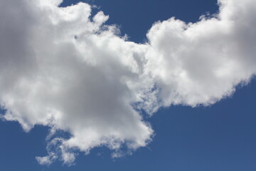 Ciel