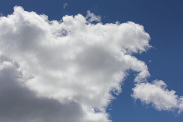 Ciel