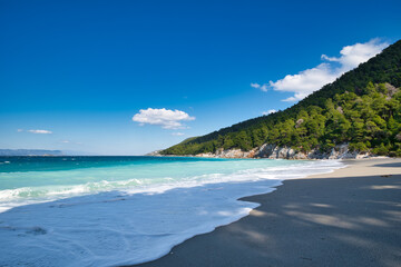 beach with trees, Kastani beach ,Skopelos island,Greece