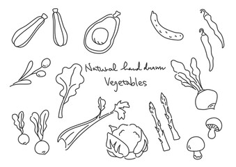 シンプルでお洒落な線画の野菜イラストセット　黒線のみ