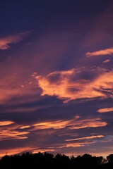 Ciel