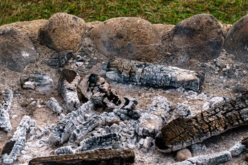 Remains of burnt wood in the fireplace.