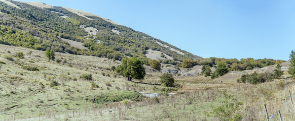 Fototapeta na wymiar trees and woods on slopes of Argatone peak, near Diavolo pass, Abruzzo, Italy