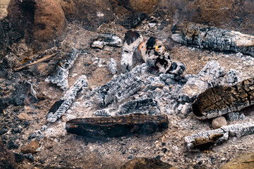 Remains of burnt wood in the fireplace.