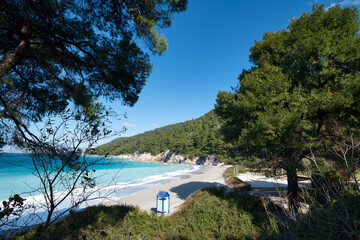 beach with trees, Kastani beach ,Skopelos island,Greece