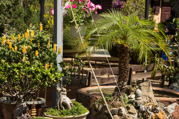 Thien Vien Truc Lam, Vietnam