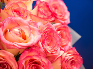 Fototapeta na wymiar Close-up of a large bouquet of pink roses on a blue background. Bouquet of roses. pink roses. Selective focus, shallow depth of field