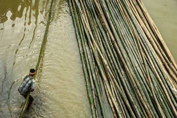 Sivasagar, India - November 2020: A man pulling bamboo logs from the Dikhow River in Sivasagar on November 22, 2020 in Assam, India.