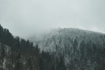 Fog in the winter mountains.