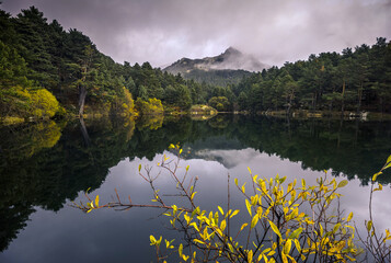 Otoño en el bosque magico 