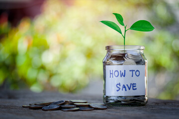 How to save, Plant is growing in a jar with coins and copy space using as background concept for...