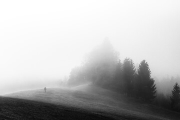 Mann geht &uuml;ber eine Wiese im Nebel hinter ihm ist ein Waldst&uuml;ck zu sehen, in schwarz-wei&szlig;