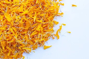 Petals of marigold flower on white background.