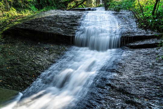 cascada en el bosque rodeada de arboles