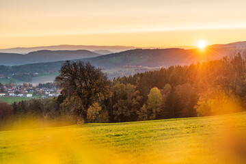 Ein einzeln stehender Baum auf einer Wiese  zu Sonnenuntergang, im Hintergrund sin H&uuml;gel und W&auml;lder zu sehen