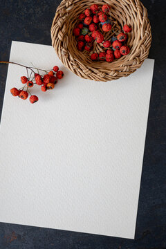 Blank White Paper Sheet On Dark Background With Nest And Red Berries. Top View With Empty Space For Text, Concept, Letter, Greeting, Menu, Christmas