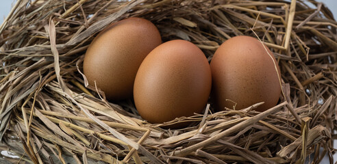 Eggs are very nutritious. Which has health benefits
