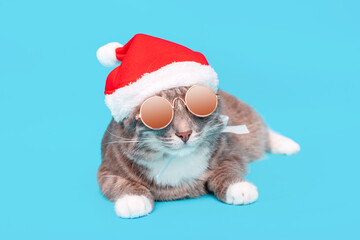 Funny cat in a Christmas Santa Claus hat and sunglasses on a blue background in the Studio. The concept of celebrating the new year party and fashoin accessories for pets