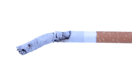 Smoldering cigarette on a white background.