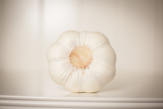 Knoblauch