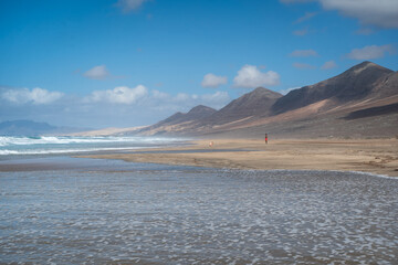 Landscape. View of Cofete beach. Fuerteventura. Canary Islands