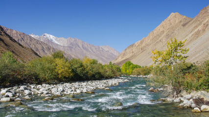 Fototapeta na wymiar Spectacular autumn view of the Gunt river valley with turquoise blue water , Gorno-Badakshan region, in the Pamir mountains of Tajikistan