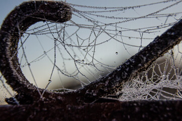 Close up view of  spiders web on a garden gate with frozen dew.