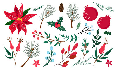 Set of winter plants - Holly, Poinsettia, Pine, Garnet, Rosehip. Traditional Christmas decoration. Leaves, berries, conifer, cone. Vector illustration isolated on white background. Flat cartoon design