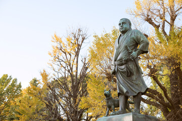 Statue of Takamori Saigo and autumn yellow ginkgo trees at Ueno Park in Tokyo, Japan　秋の上野公園 西郷隆盛の銅像と黄葉したイチョウの木