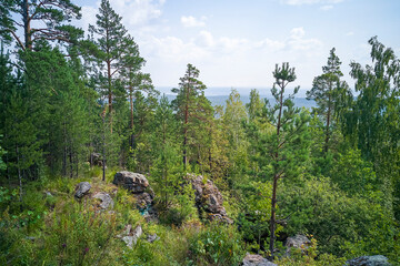 Fototapeta na wymiar Beautiful mountains landscape with top of pine trees. Ural mountains.