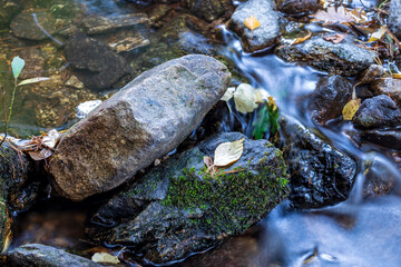Rocas, musgo y hojas en el arroyo del Sestil. Madrid. España. Europa