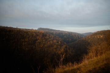 Bloody trees on the hillside in a late autumn