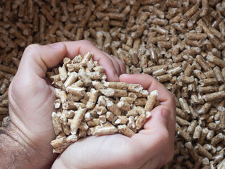 heart shaped hands with pellets biomass