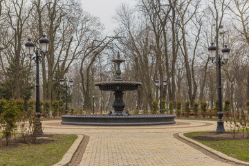 Obraz premium fountain in the park