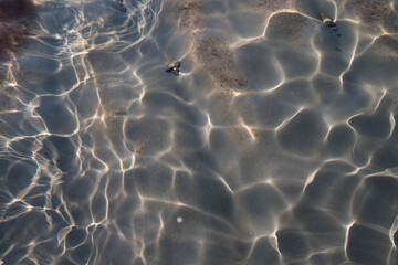 Fototapeta na wymiar the coast of the black sea. Shallow water, water and stones.