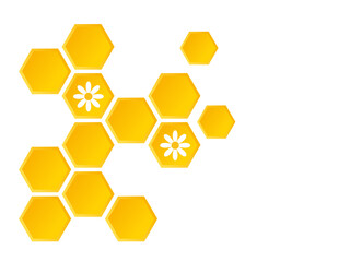 Honeycomb with hexagon cells and little flower on white background vector illustration.