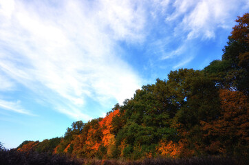 Autumn scenery landscape sesonal