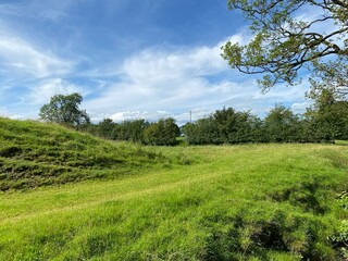 Rough grassland, near Hellifield Road, in, Bolton by Bowland, Clitheroe, UK