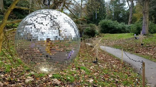Silver disco ball hanging in the park