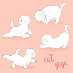 Cute cartoon white cat practicing yoga for beginners. Isolated vector clip art of yoga poses