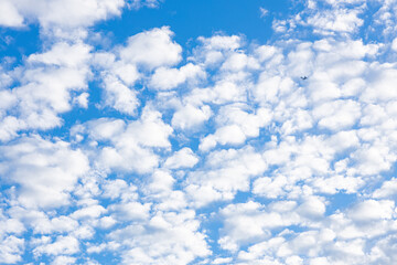 blue sky with small white clouds, a small plane is flying far in the sky, the concept of freedom, travel