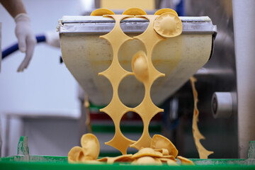 Pasta production – ready Ravioli units coming out on the conveyor of a machine that fills and closes them.