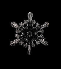 Natural Christmas snowflake on black background for design. natural snowflake isolated on a black...