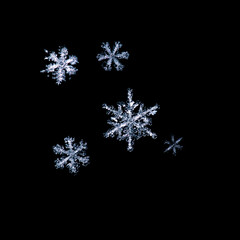Natural Christmas snowflake on black background for design. natural snowflake isolated on a black...