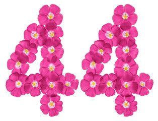 Arabic numeral 44, forty four, from pink flowers of flax, isolated on white background