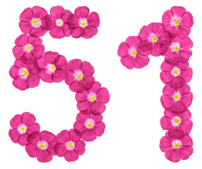 Arabic numeral 51, fifty one, from pink flowers of flax, isolated on white background - 395738996