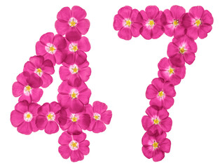 Fototapeta na wymiar Arabic numeral 47, forty seven, from pink flowers of flax, isolated on white background