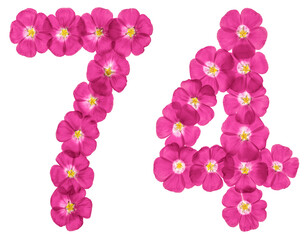 Arabic numeral 74, seventy four, from pink flowers of flax, isolated on white background