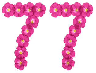 Fototapeta na wymiar Arabic numeral 77, seventy seven, from pink flowers of flax, isolated on white background